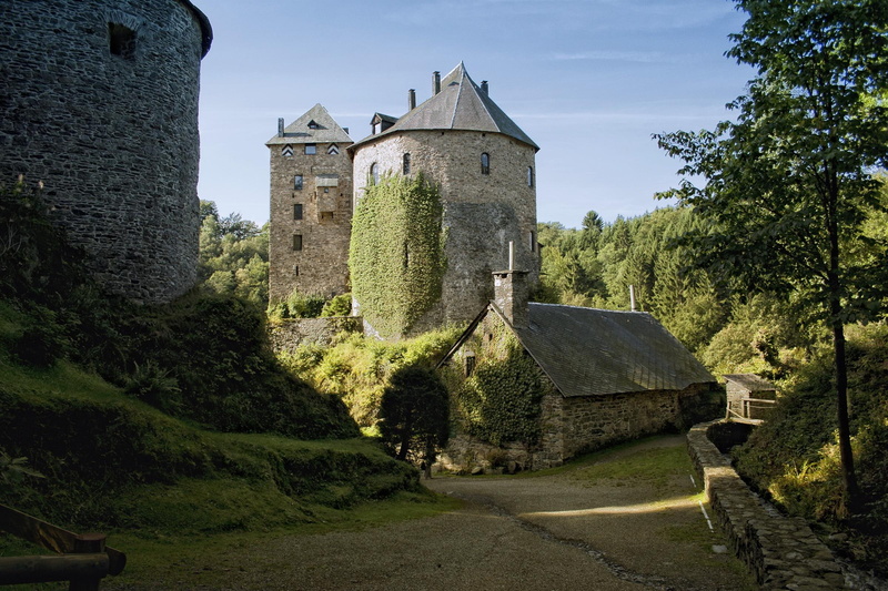 grass, trees, castle, reinhardstein, medieval, stronghold, stone, belgium, burg, fortress, classic, 1080P