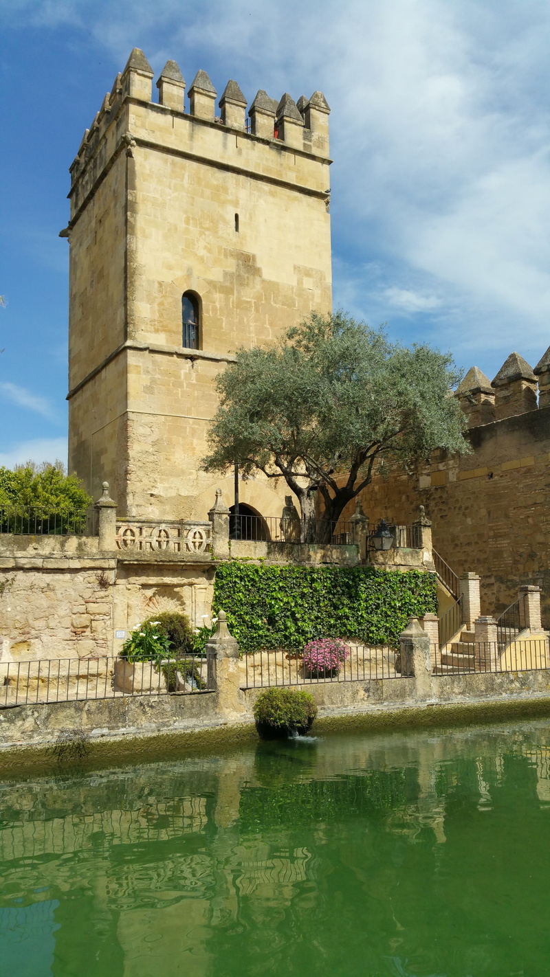 plant, europe, day, water, castle, famous Place, outdoors, alcázar of córdoba, architecture, history, de, waterfront, sky, no people, Alcázar De Los Reyes Cristianos