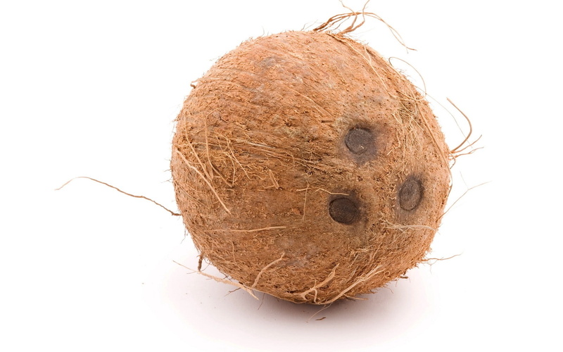 1080P, cut out, animal nest, fruit, white Background, isolated On White, hairy, food And Drink, indoors, breaking, single Object, wellbeing, no People