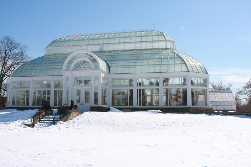 day, hothouse, sky, 4K, building exterior, travel destinations, city, snow, glass, clear sky, facade, architecture, ground, blue sky, protection, glasshouse