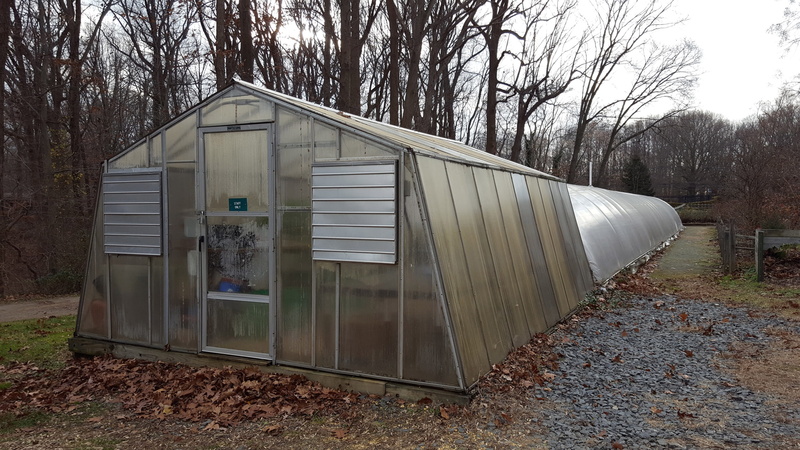 no people, nursery, new, cut, house, humidity, bare tree, jersey, building exterior, warmth, humid, botanical, outdoors, tree, glass, summer, loop greenhouse