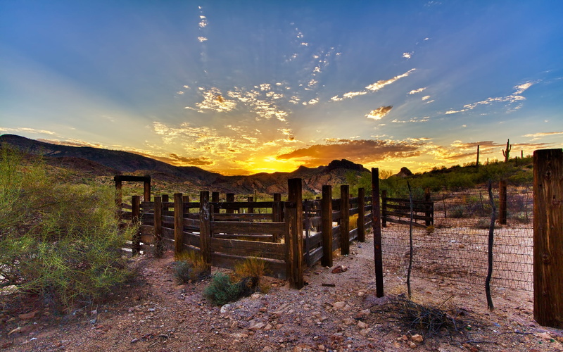 sunrise - Dawn, prickles, tranquil Scene, scenics - nature, cloud - Sky, brown, footpath, autumn, sun, shelter, sky, wooden post, security, boundary, scenics