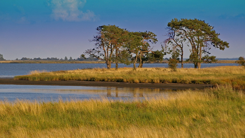 2K, Nature Reserve, logo, field, protected landscape area, ecology, land, gristower wiek, break, swamp, outdoors, sky, reserve, lagoon, blue, symbol, environment