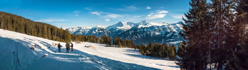 cold temperature, environment, forests, landscape, sky, protect, beauty in nature, mountain, travel, nature conservation, mountains, leisure activity, sport