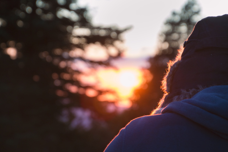 nature, adult, lifestyles, warm ears, headshot, tree, leisure activity, beginning of winter, woman, forest, winter, back light, silhouette, sunlight, rear view