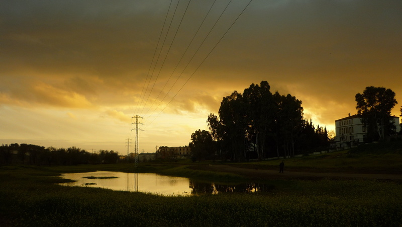 power supply, field, reflection, plant, walk, clouds, nature, romantic sky, cable, electricity pylon, beauty in nature, pond, power line, technology, tree