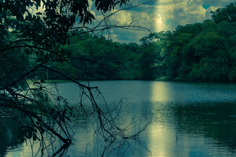 dusk, plant, growth, reflection, summer, poetry, 4K, tree, landscape, body, water, blue, tranquility, forest, darken, vegetation, lake, beauty in nature