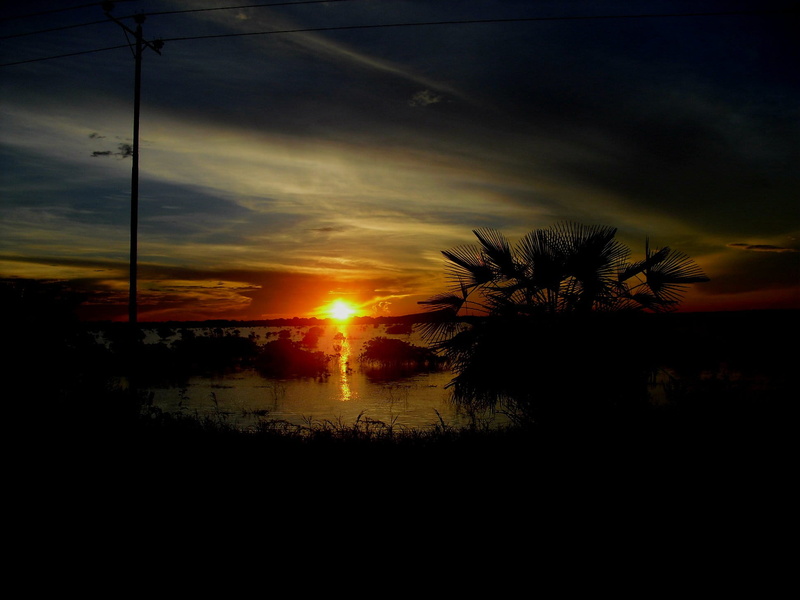 Darken, reflection, orange color, Venezuela, silhouette, scenics, plant, cloud - sky, sunset, no people, nature, dark, sky, environment, Plain, 1080P