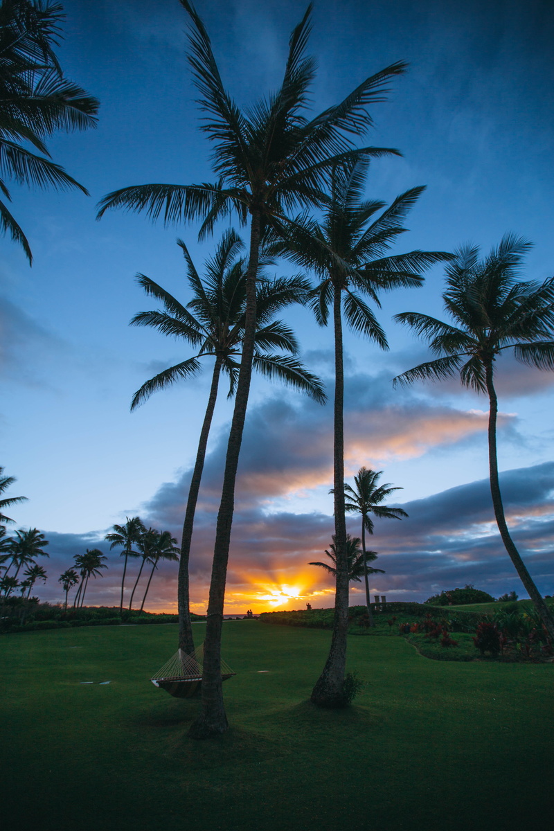 scenics - nature, exotic, water, scenic, growth, golf Course, landscape, vacation, sunrise, grass, recreation, plant, sky, no people, tranquility, golf