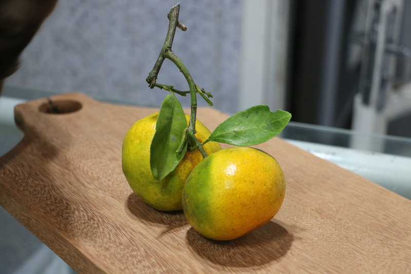 fruit, plant part, green color, focus on foreground, freshness, bergamot, ripe, table, food, 5K, leaves, green, healthy eating, yellow, food and drink