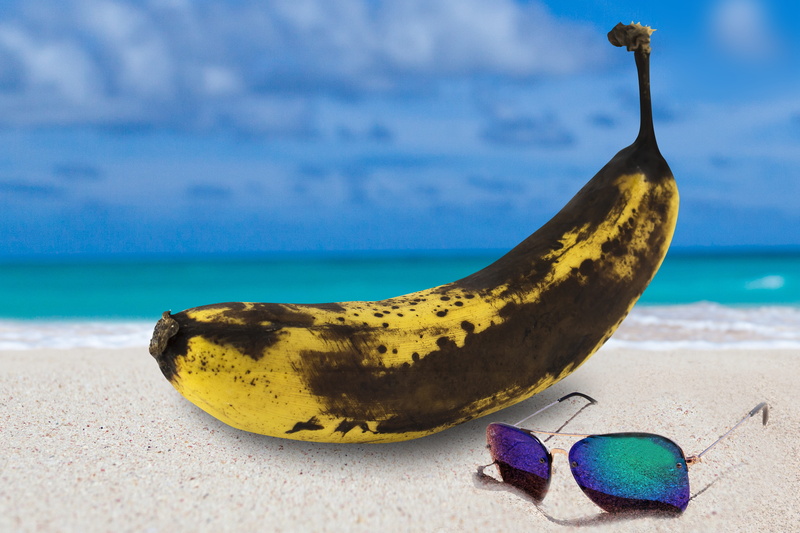 sunglasses, close-up, tropical climate, sunburn, nature, cancer, 5K, sand, no people, vacations, beauty in nature, outdoors, sand beach, water, food, sea