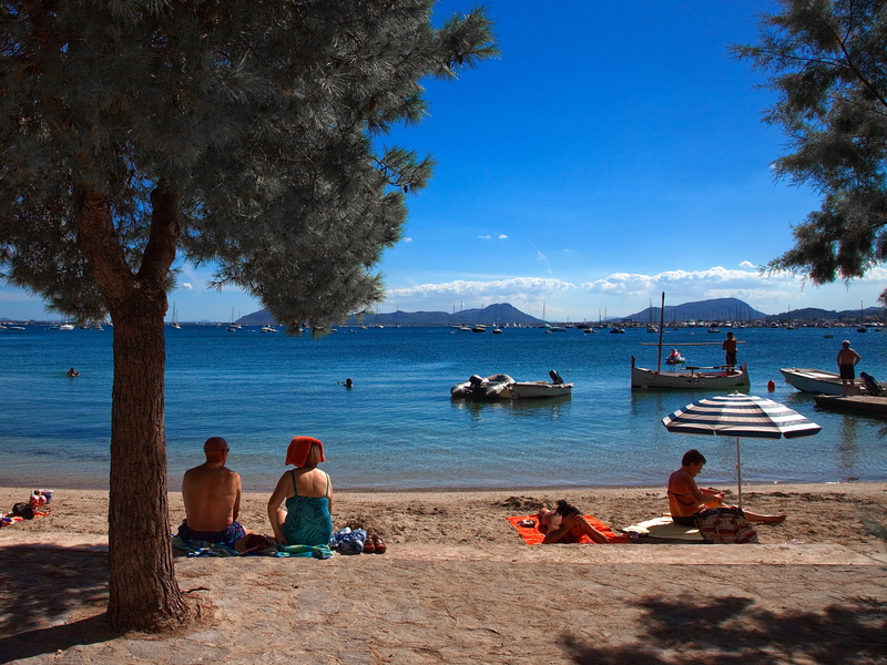 outdoors, holiday, spain, tree, pair, enjoy, day, plant, human, group of people, heat, transportation, summer, coast, advertising, 4K, tourists, sky, relaxation