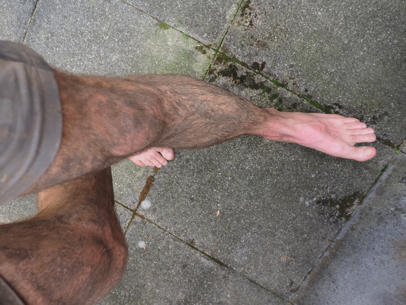 hand, human leg, foot, slush run, low section, real people, one animal, human, mudiator, dirt, man, human foot, day, pets, vertebrate, finger, human limb