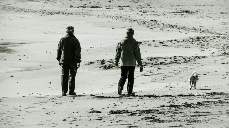 nature, beach, leisure, real people, two people, people, Couple, water, full length, rear view, old couple, Life, enjoying life, walking, Old, men, canine