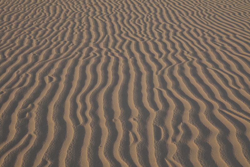 wilderness, beauty in nature, nature, desert, shadows, wet, day, brown, wave pattern, scenics - nature, no people, pattern, dry, symmetric, landscape, outdoors