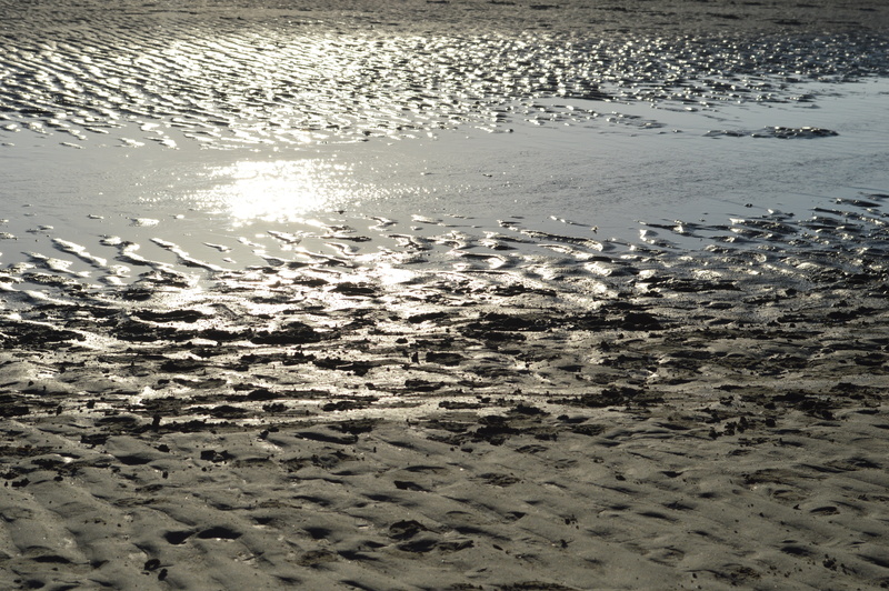 motion, beauty in nature, scenics - nature, sunlight, wind, no people, sand, wadden, day, land, relief, sea, west frisian, 5K, beach, pier, island, nature