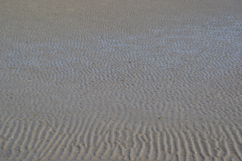 soil, outdoors, sand, climate, wave pattern, textured, sea, pattern, arid climate, water, day, ripple, scenics - nature, natural pattern, land, full frame