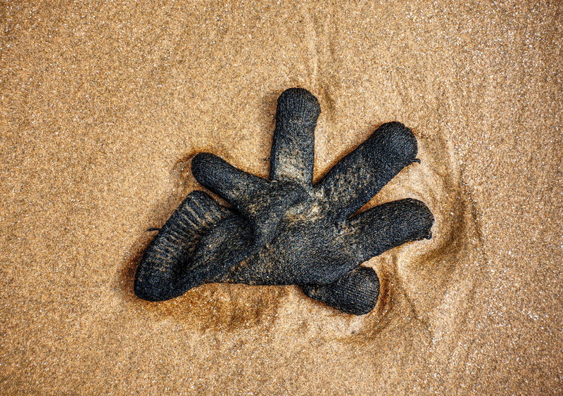 beach, flotsam, glove, directly above, starfish, sand, tide, still life, no people, high and dry, 5K, left, high angle view, lost, animal, bereaved, ignore
