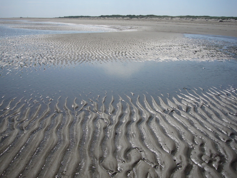 nature, beauty in nature, scenics - nature, tranquil scene, sea, natural pattern, wave pattern, beach, sandrippel, low tide, wet, tranquility, sand, ocean floor