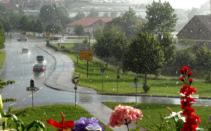 1080P, water, grass, nature, rain, giengen, spraying, park - man made space, no people, wet, cloudburst, flower, day, growth, plant, thunderstorm, flowering plant