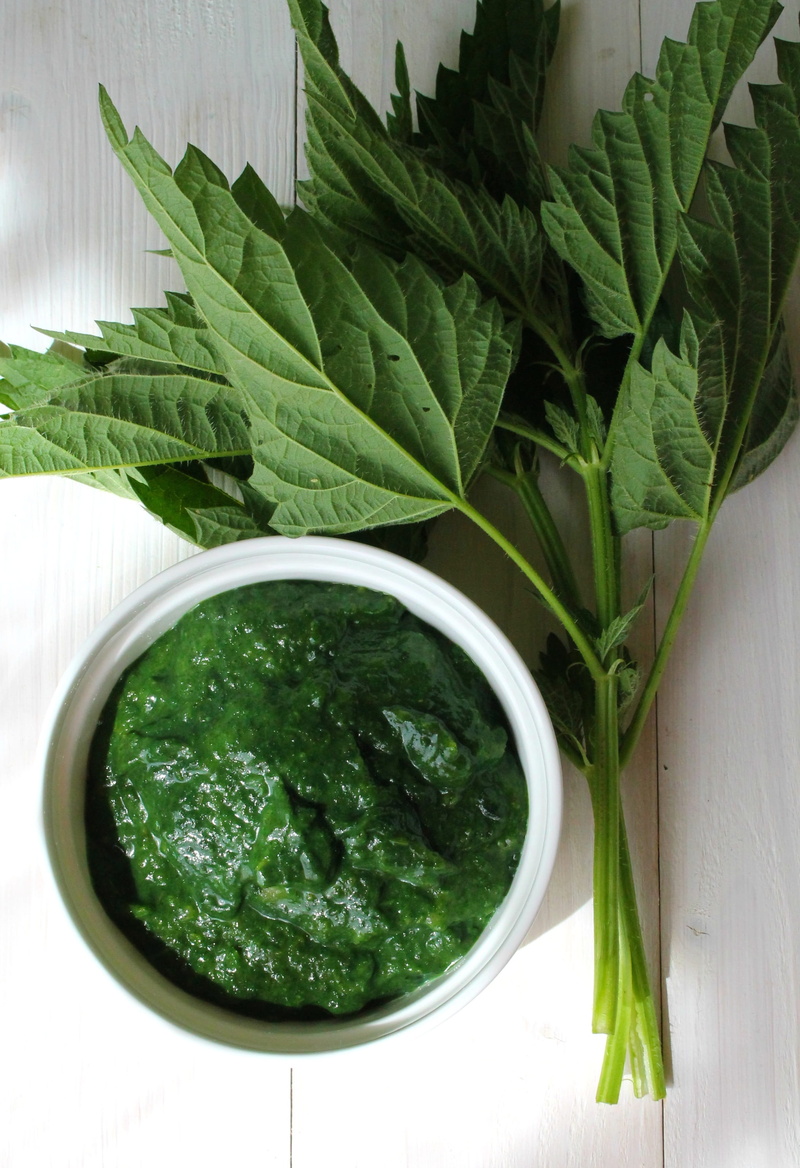 leaf, spinach, folic acid, nutritious, 2K, leaves, Vegetable, green, cream, food, healthy eating, green color, beauty in nature, chlorophyll, no people