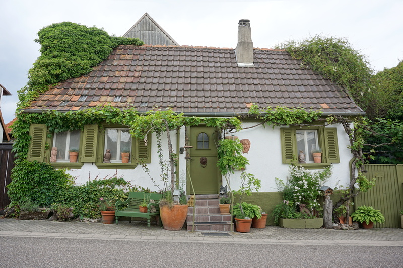 building, green color, residential district, built structure, plant, tree, scary, day, growth, roof, 5K, entrance, facade, potted plant, witchs house