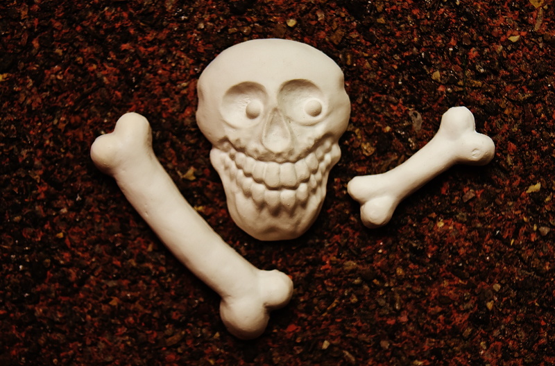 5K, close-up, blank, skeleton, spooky, indoors, body part, finger, representation, human skeleton, skull, hand, self-made, people, hand labor, human hand