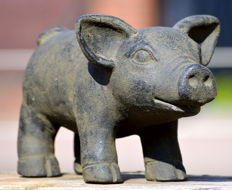 human representation, self-made, hand labor, history, pig, 2K, craft, architecture, representation, funny, piglet, cute, close-up, sound, art and craft