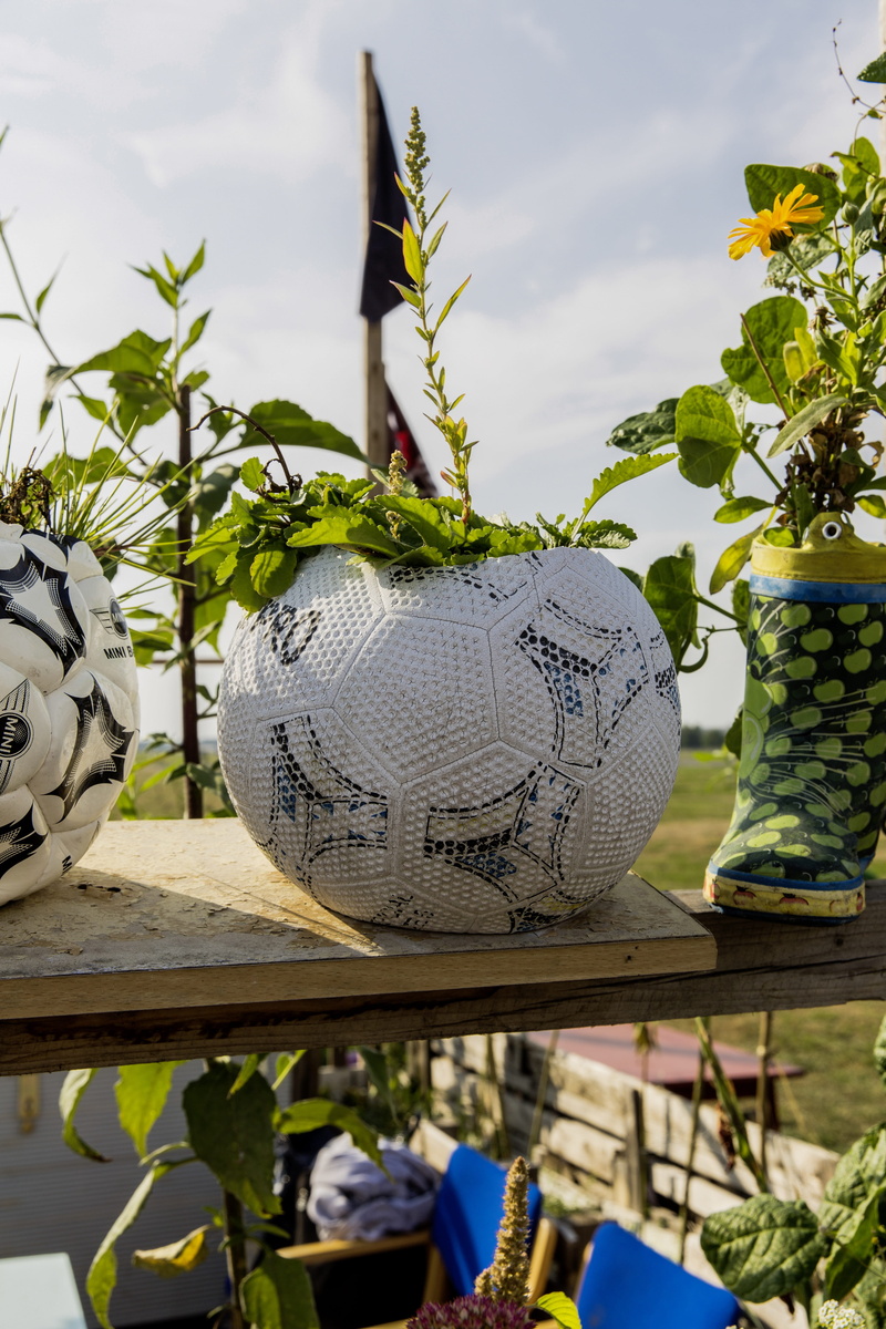 close-up, hat, frisch, tempelhof, self catering, vegetables, raised bed, flowers, container, thanksgiving, hanging, berlin, beauty in nature, urban gardening
