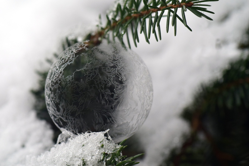 5K, focus on foreground, decoration, coniferous tree, holiday, clear, filigree, nature, pine tree, cold temperature, christmas decoration, beautiful, christmas ornament