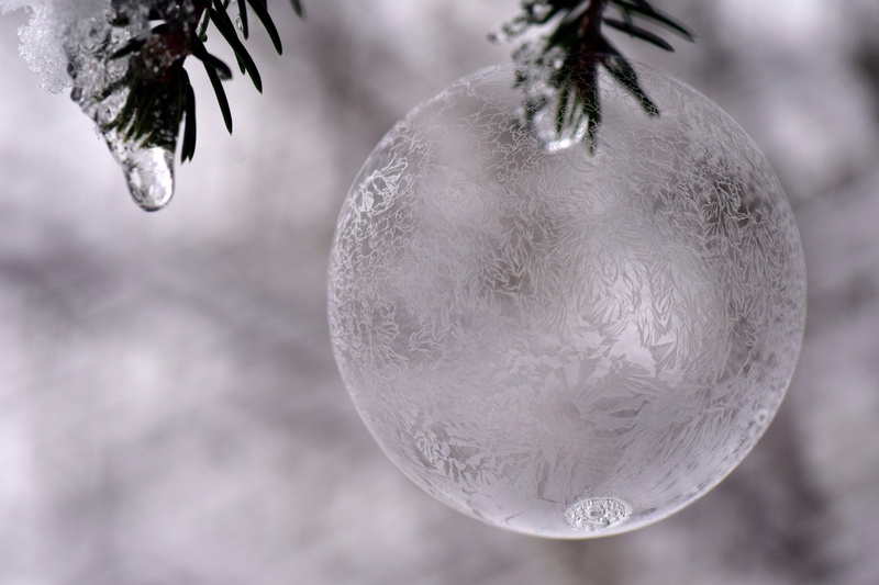 christmas ornament, holiday, structure, close, snow, tree, filigree, christmas decoration, cold temperature, christmas bauble, cold, ball, nature, ice ball