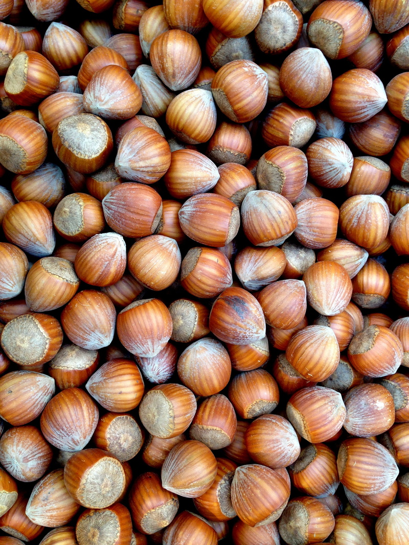 autumn, abundance, Nut, Brown, nut allergy, full frame, Nuts, nut - food, delicious, wellbeing, still life, repetition, crack, Hazelnuts, eat, large group of objects