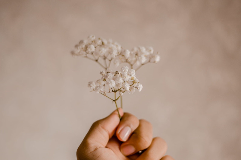freshness, girl, light, food and drink, beige background, encrusted, flowers, studio shot, plant, human body part, human limb, finger, flora, little, close-up