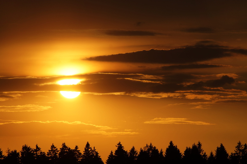 dawn, scenics - nature, red, landscape, bright, tree, non-urban scene, tranquil scene, sun, cloud - sky, dramatic sky, mood, idyllic, romantic sky, plant