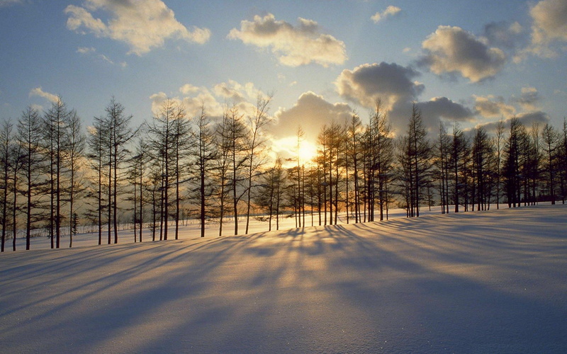 sunset, winter, 3d and abstract, shadow, dusk, 1080P, clouds, trees, snow, breakthrough, rows