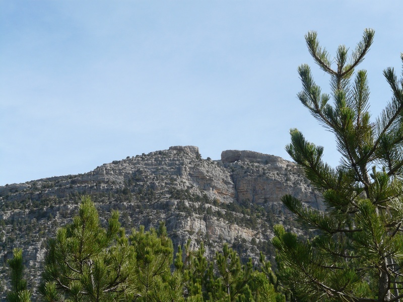 scenics - nature, turkey, hill, rock wall, tranquility, tree, no people, growth, mountains, tinaztepe, plant, konya, summit, formation, clear sky, day