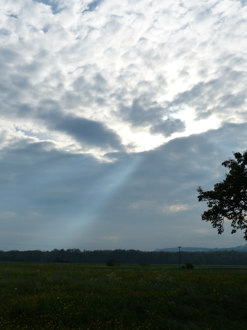 cloud - Sky, land, tranquility, no people, breakthrough, outdoors, field, scenics - nature, growth, 4K, clouds, environment, sunbeam, tranquil scene, plant