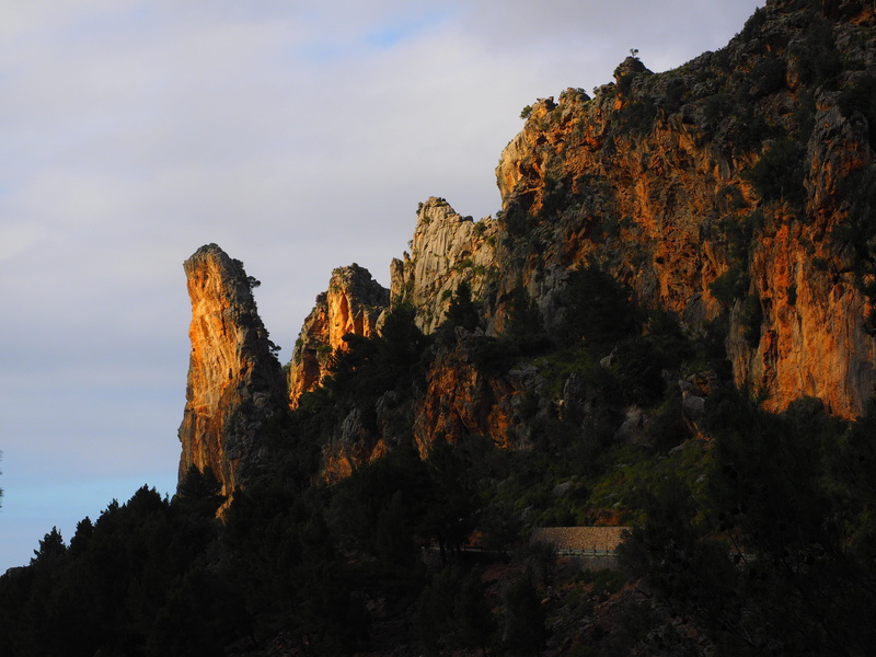 tree, no people, formation, outdoors, breakthrough, tranquil scene, sky, passage, rock formation, nature, serra de tramuntana, road, non-urban scene, ma-2141