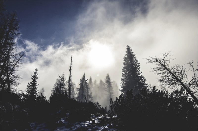 woodland, sun, scenics - nature, non-urban scene, plant, frost, forest, sky, pine tree, clouds, winter, beauty in nature, coniferous tree, cloudy, mountain
