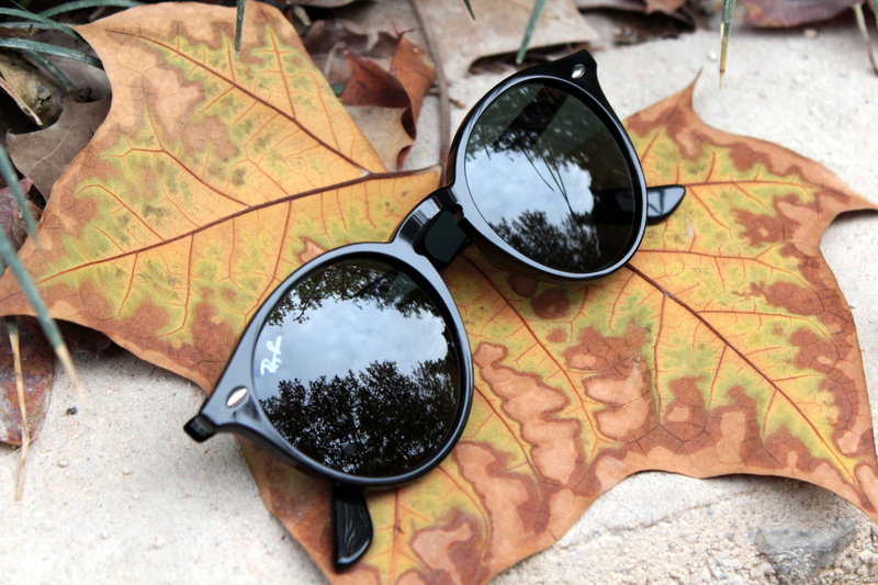 rayban, leaves, dry, nature, no people, 4K, direction, personal accessory, map, close-up, still life, sunglasses, outdoors, closeup, high angle view, change