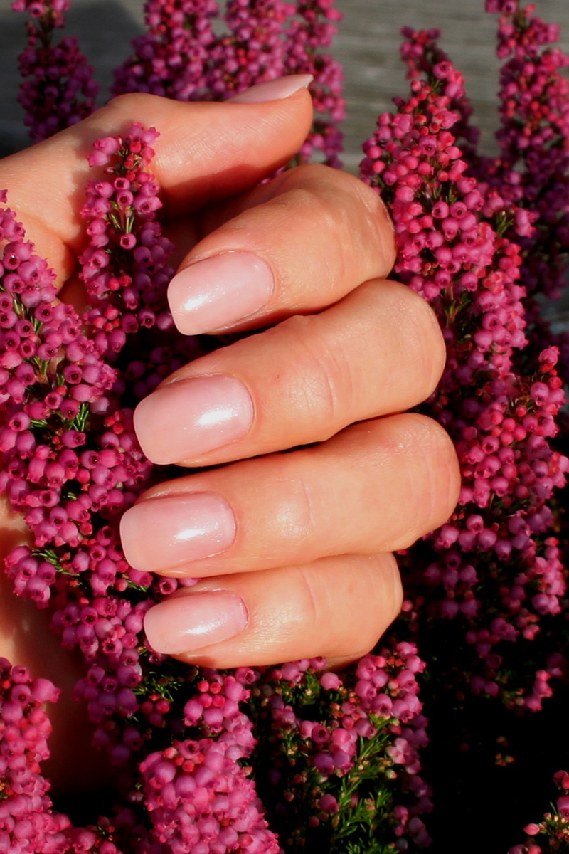 close-up, nail varnish, nail, fragility, adult, real people, flower head, one person, human body part, nature, plant, human hand, hand, beauty in nature