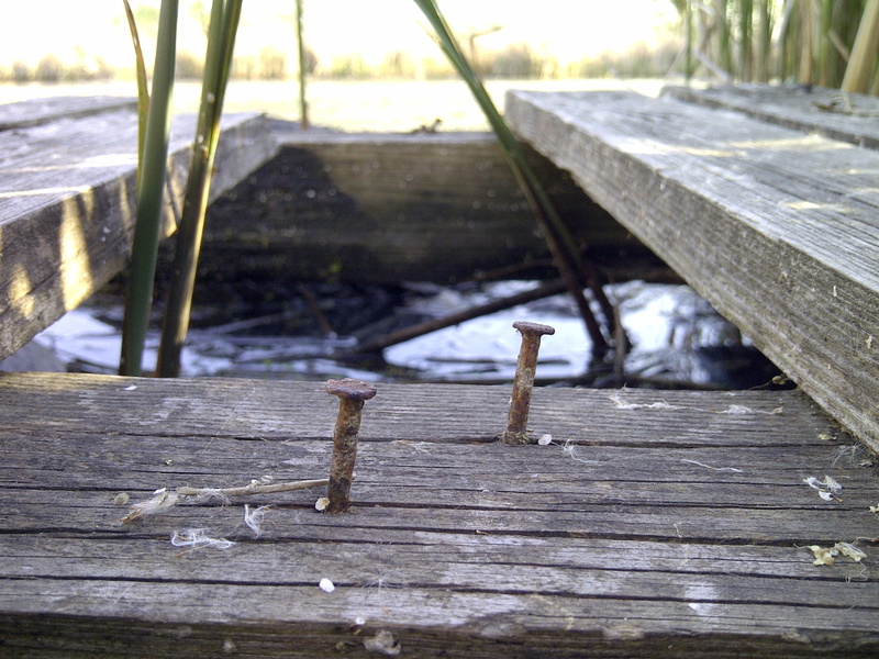 aged, bench, nature, rustic, boards, wooden, old, boundary, high angle view, day, seat, no people, 2K, wood - material, pier, natural, nail, sunlight