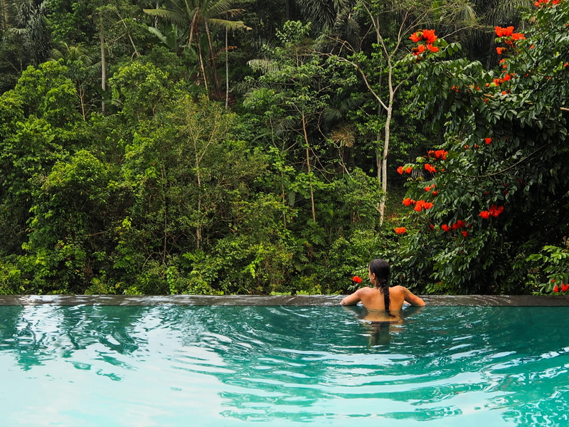 daytime, girl, vacations, leisure activity, waterfront, Jungle, outdoors, tree, plant, one person, swimming, Pool, adult, love, shirtless, Bali, swimming pool