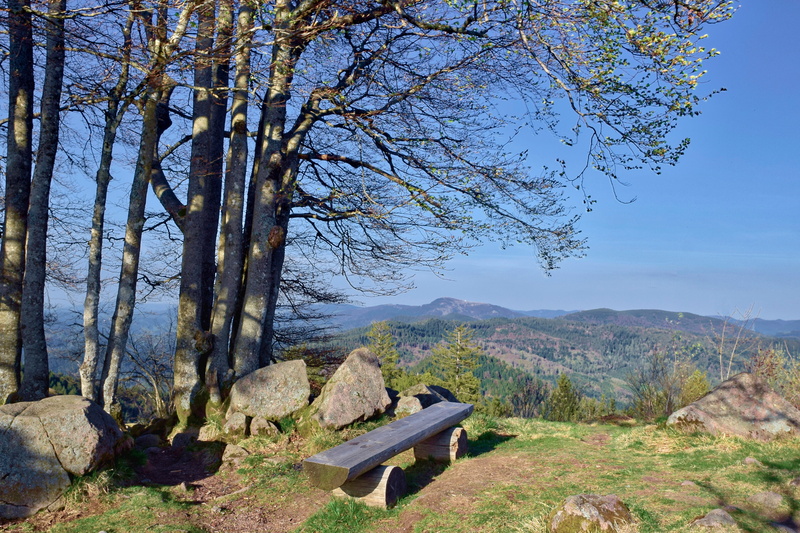 mountains, plant, branch, outdoors, rock, landscape, mountain, cliff, grove of trees, park bench, schönwetter, wood, bench, tranquility, tree, no people