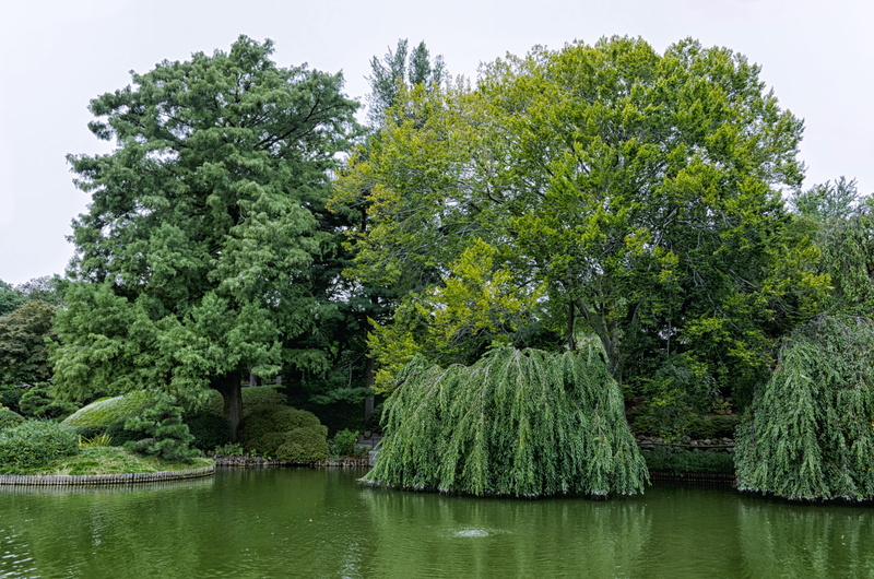day, green color, nature, foliage, botanical garden brooklyn, wood, non-urban scene, waters, summer, schönwetter, park, grass, tree, tranquility, tranquil scene