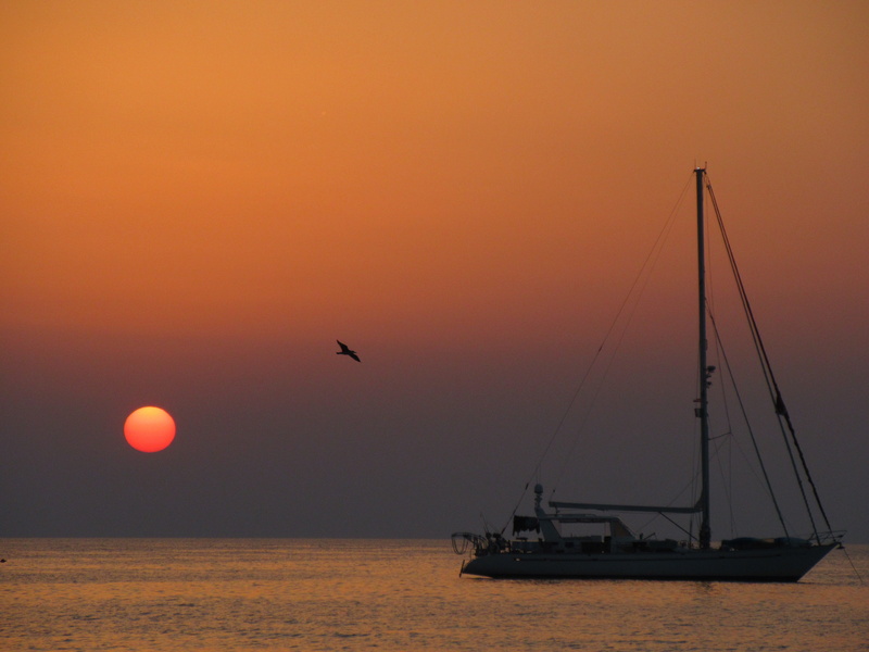 sailing boat, sky, cefalù, sailboat, italy, animal wildlife, 5K, landscape, orange color, summer, schönwetter, animal, ship, transportation, scenics - nature