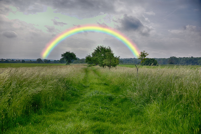 photograph, idyllic, nature, summer, weather, green color, double rainbow, tranquil scene, sky, beauty in nature, land, forest, environment, rural, no people