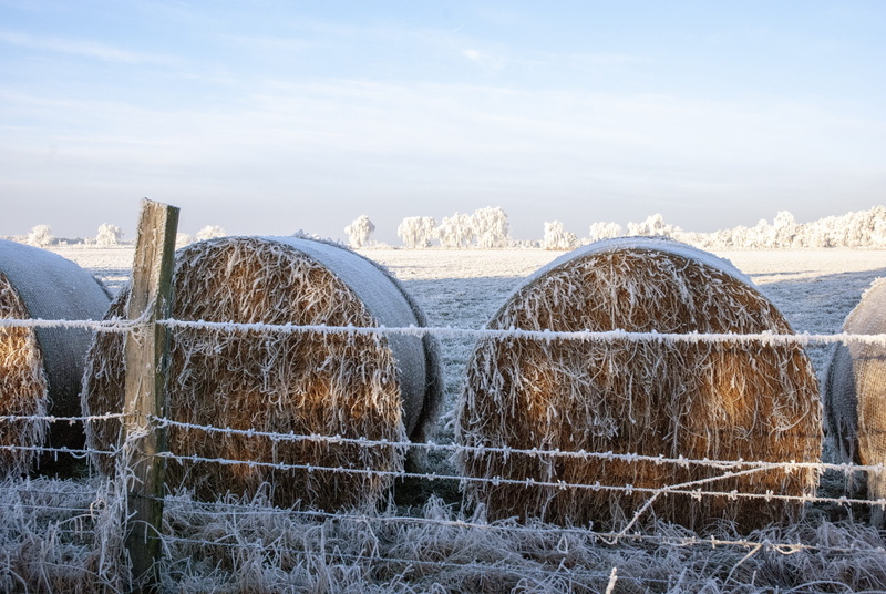 outdoors, no people, agriculture, landscape, field, cold temperature, winter, snow, land, hoarfrost, tranquil scene, straw, hay, 4K, nature, scenics - nature