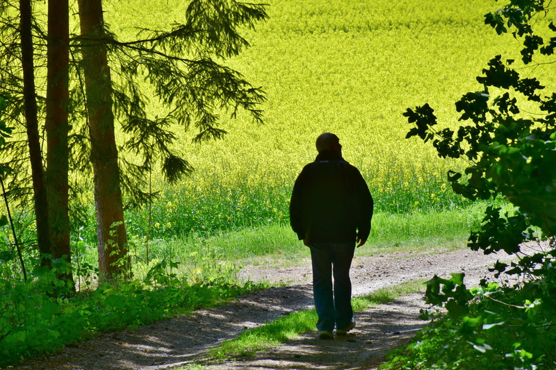 day, tree, lifestyles, footpath, nature, beauty in nature, land, walk, yellow, mood, forest, weather, portrait, real people, meadow, standing, enjoy, flower