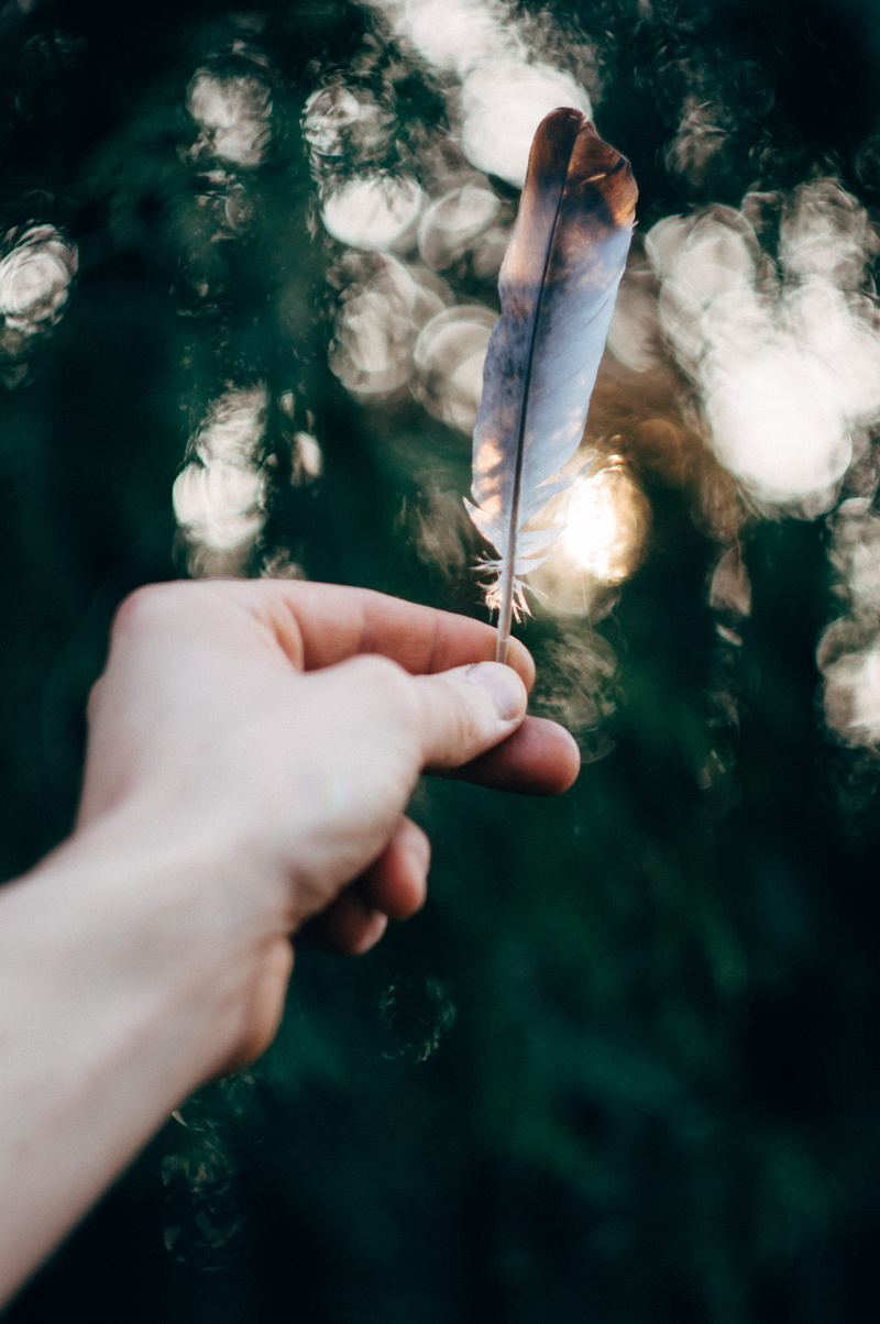 left, leisure activity, personal perspective, close-up, reflection, czech, showing, witch, nature, body part, light, witchy, brown, hand, day, bokeh, unrecognizable person
